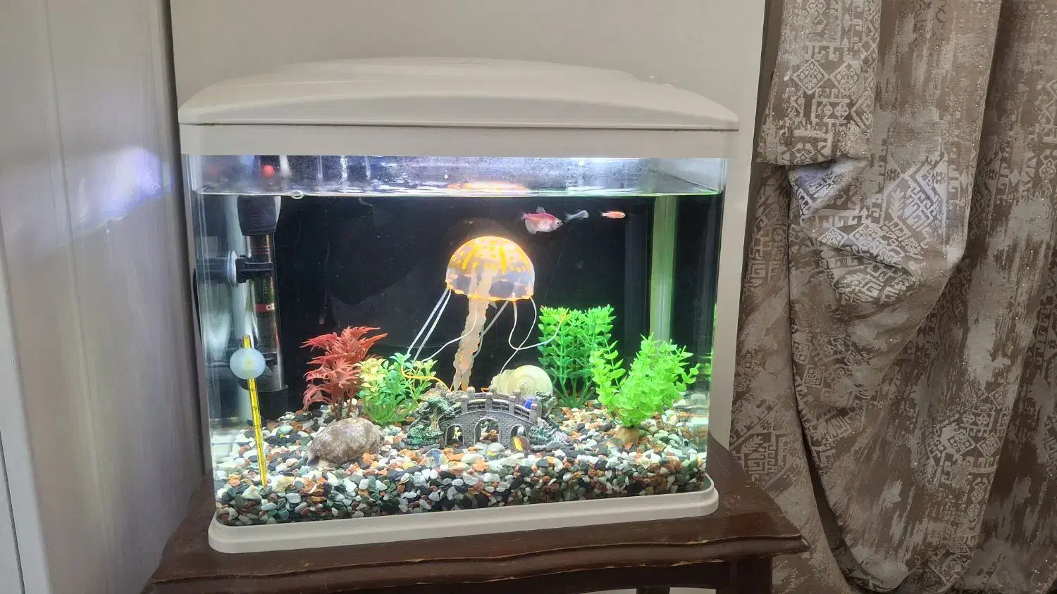 آکواریوم 30*40 ماهیران|ماهی|تهران, باغ خزانه|دیوار