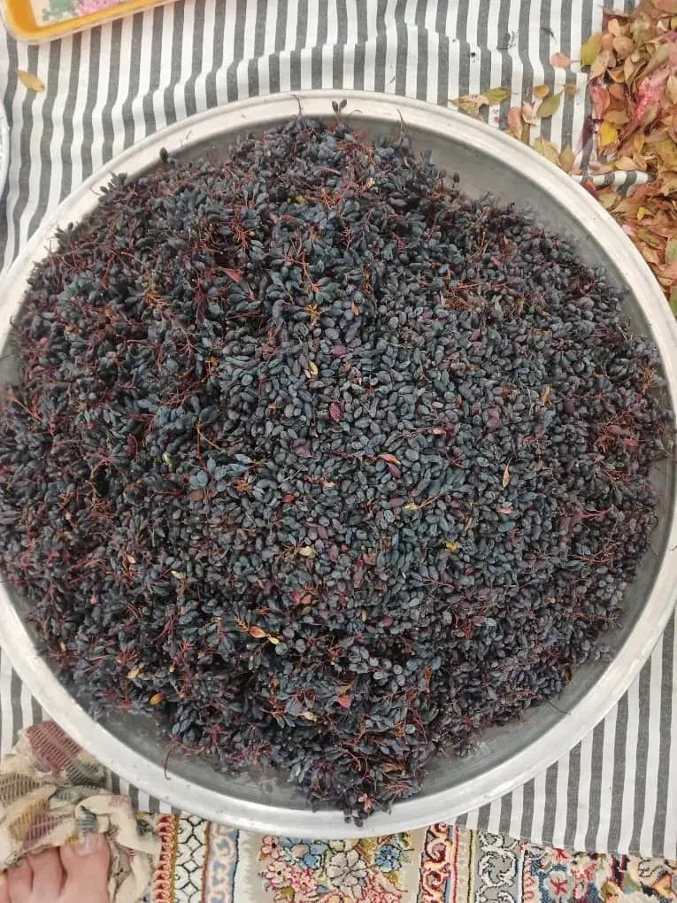 اب زرشک کوهی طبیعی|خوردنی و آشامیدنی|کرج, شهرک فهمیده|دیوار