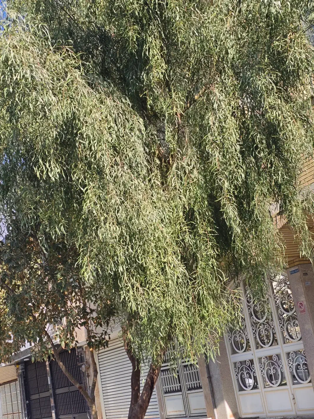 اجاره خانه ویلایی دربست|اجارهٔ خانه و ویلا|قم, بکایی|دیوار