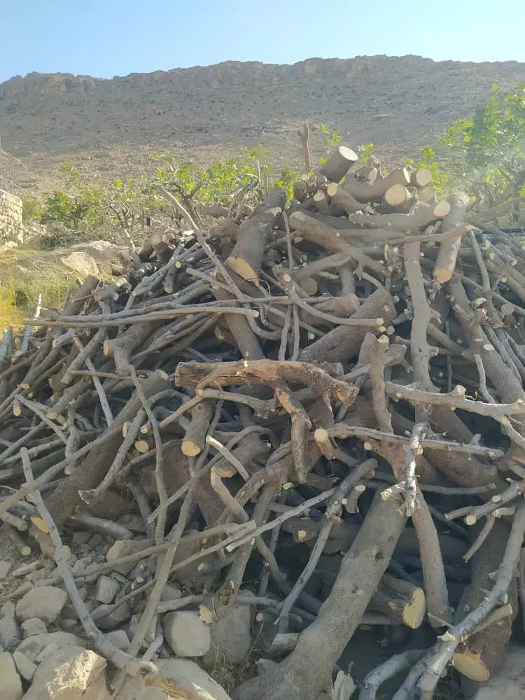 چوب|خدمات باغبانی و درختکاری|کوهنانی, |دیوار