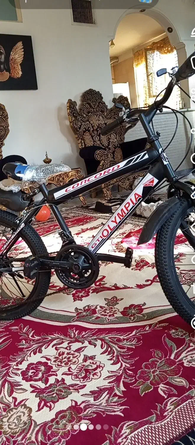 دوچرخه سایز بیست کاملا نودنده ای|دوچرخه، اسکیت، اسکوتر|قرچک, شهرک طلائیه|دیوار