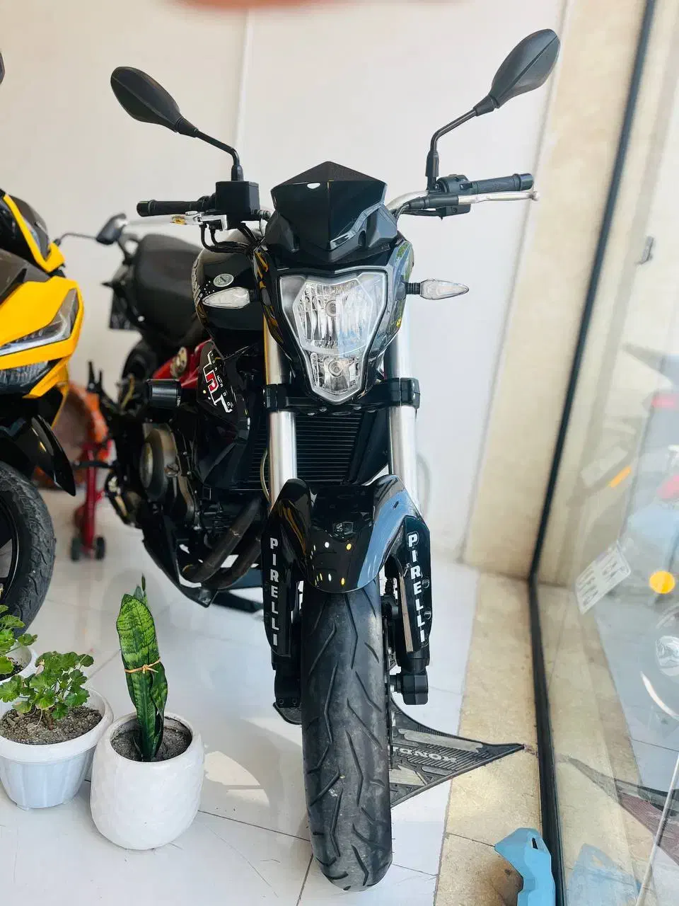 بنلی ۳۰۰درصد صفر|موتورسیکلت|رشت, یخسازی|دیوار