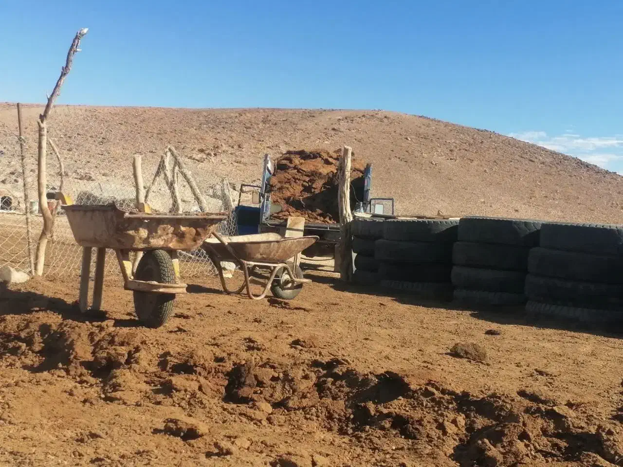 کود گوسفندی درجه|خدمات باغبانی و درختکاری|ندوشن, |دیوار