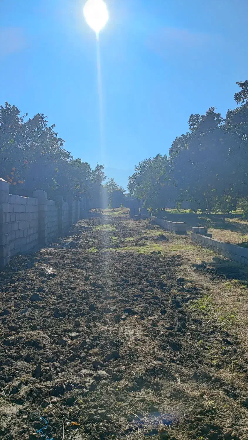 ۶۰۰ متر زمین داخل بافت همراه با پروانه ساخت|فروش زمین و ملک کلنگی|نشتارود, |دیوار