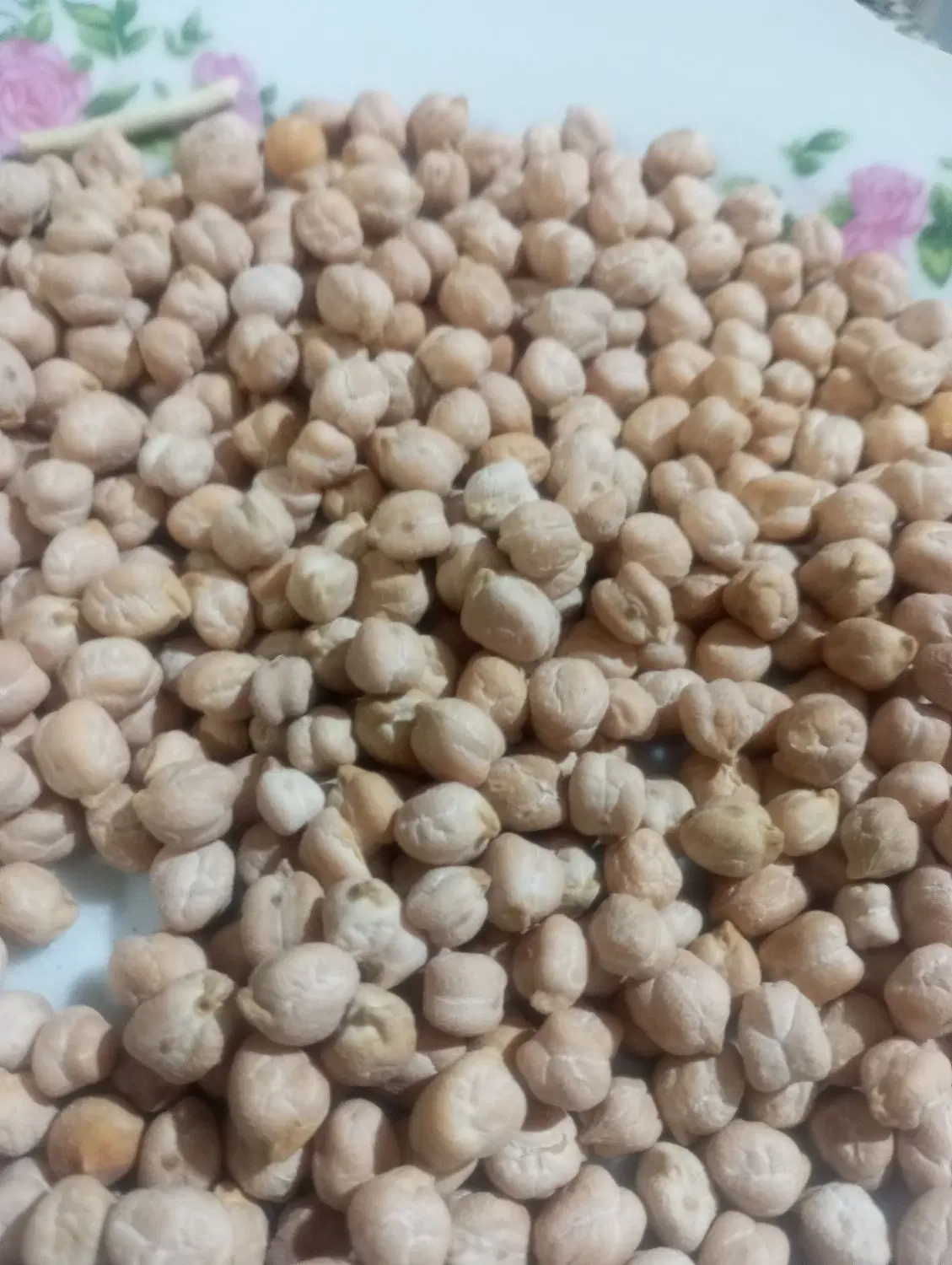 نخودسفید|خوردنی و آشامیدنی|قلقل رود, |دیوار