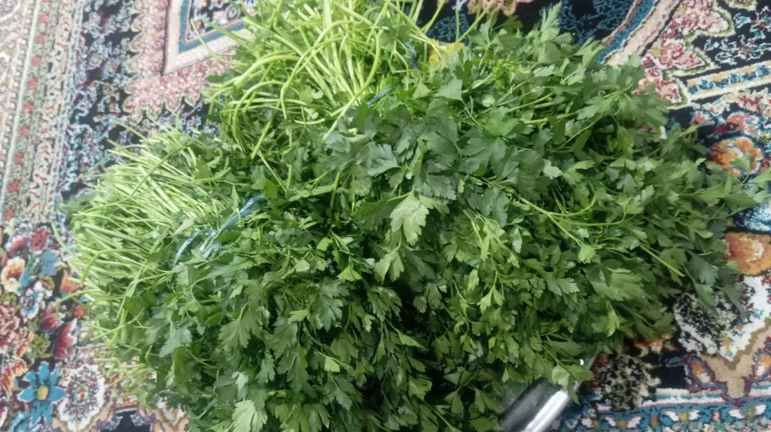 سبزی تازه|خوردنی و آشامیدنی|ایذه, |دیوار