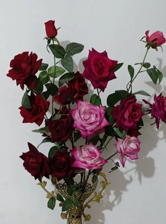 گل رز|گل و گیاه طبیعی|نهاوند, |دیوار