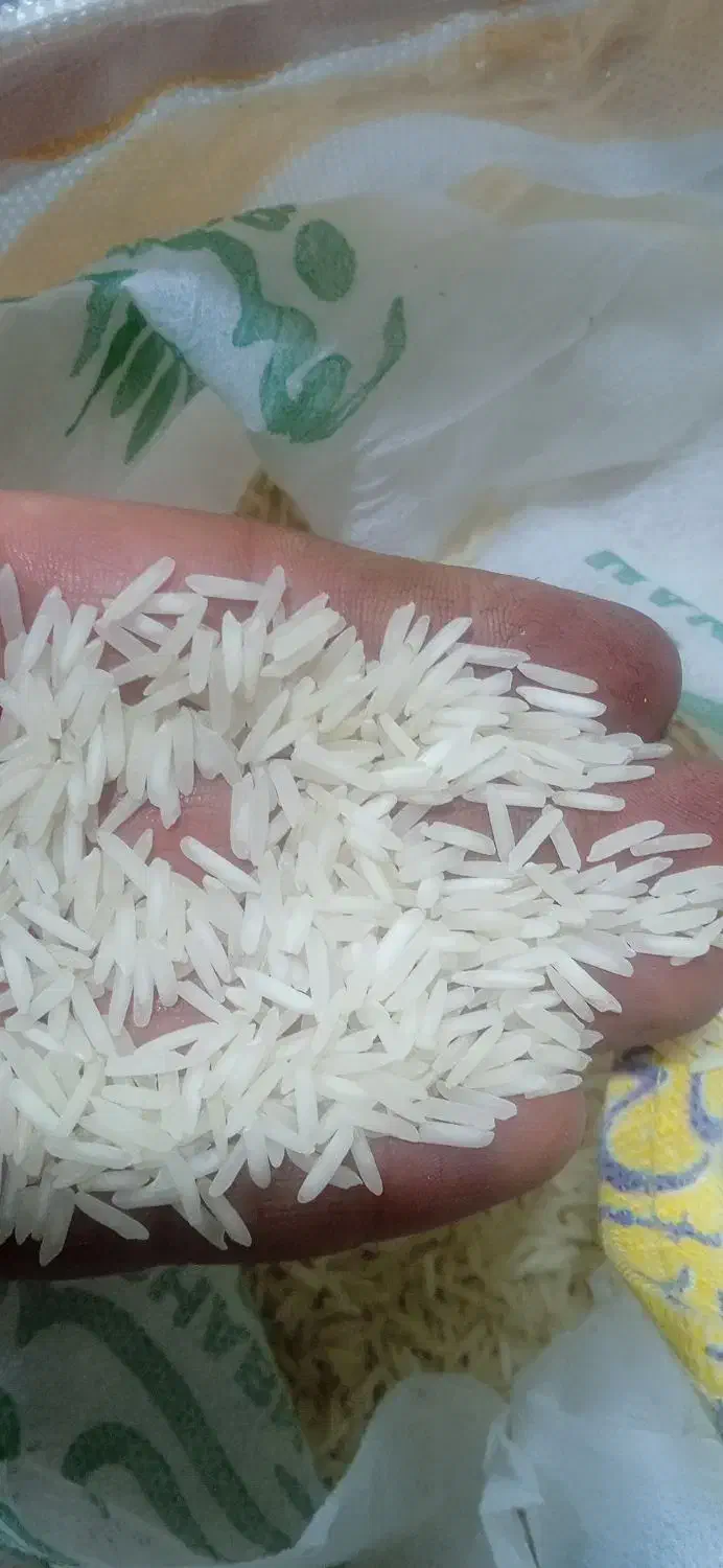 برنج صالح|خوردنی و آشامیدنی|تبریز, |دیوار