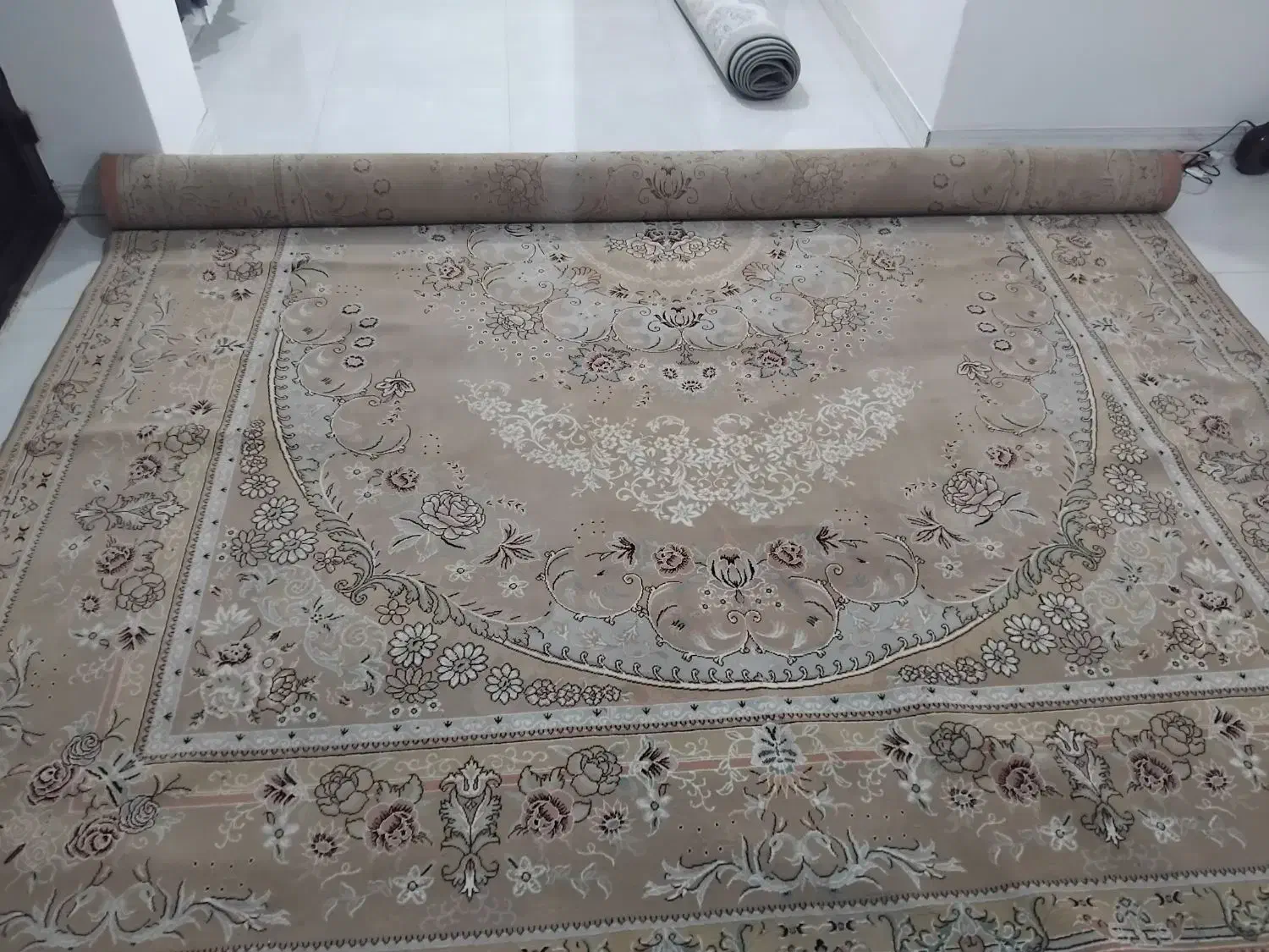 فرش|فرش|رامسر, |دیوار