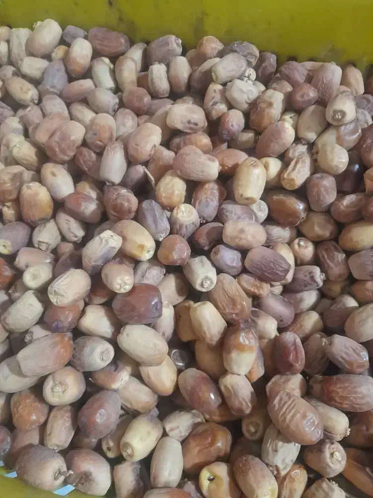 فروش خرما زاهدی|خوردنی و آشامیدنی|نیشابور, شهرک رسولی|دیوار