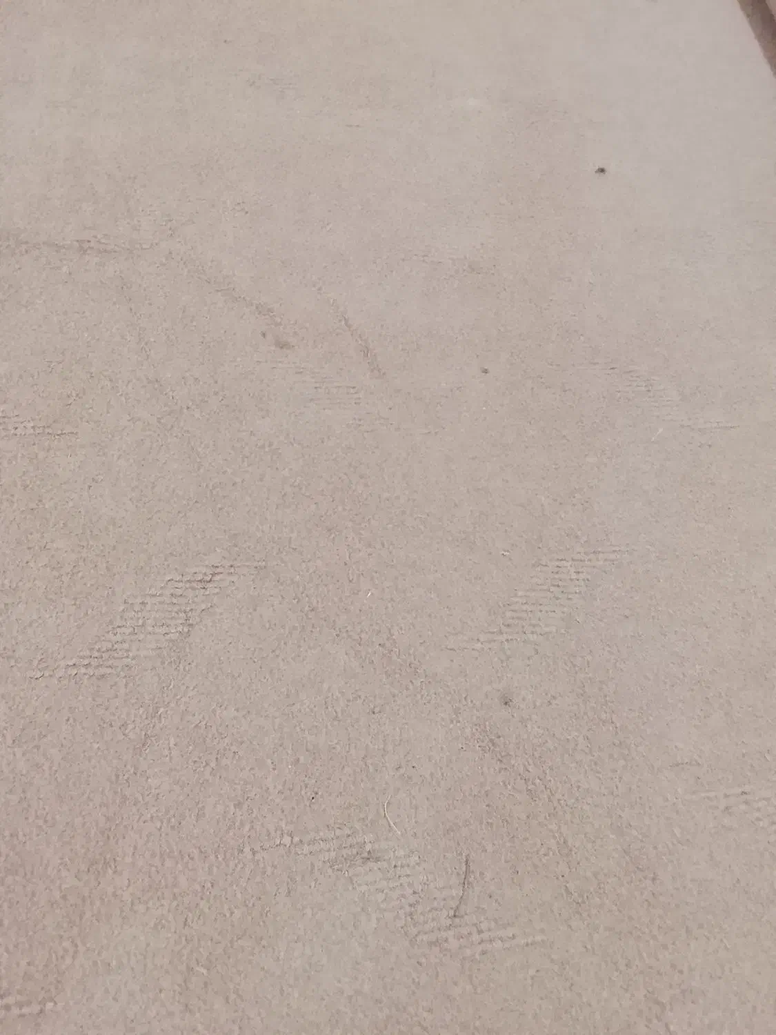 موکت تمیزه قیمت مفت گذاشتم|موکت|آزادشهر, |دیوار