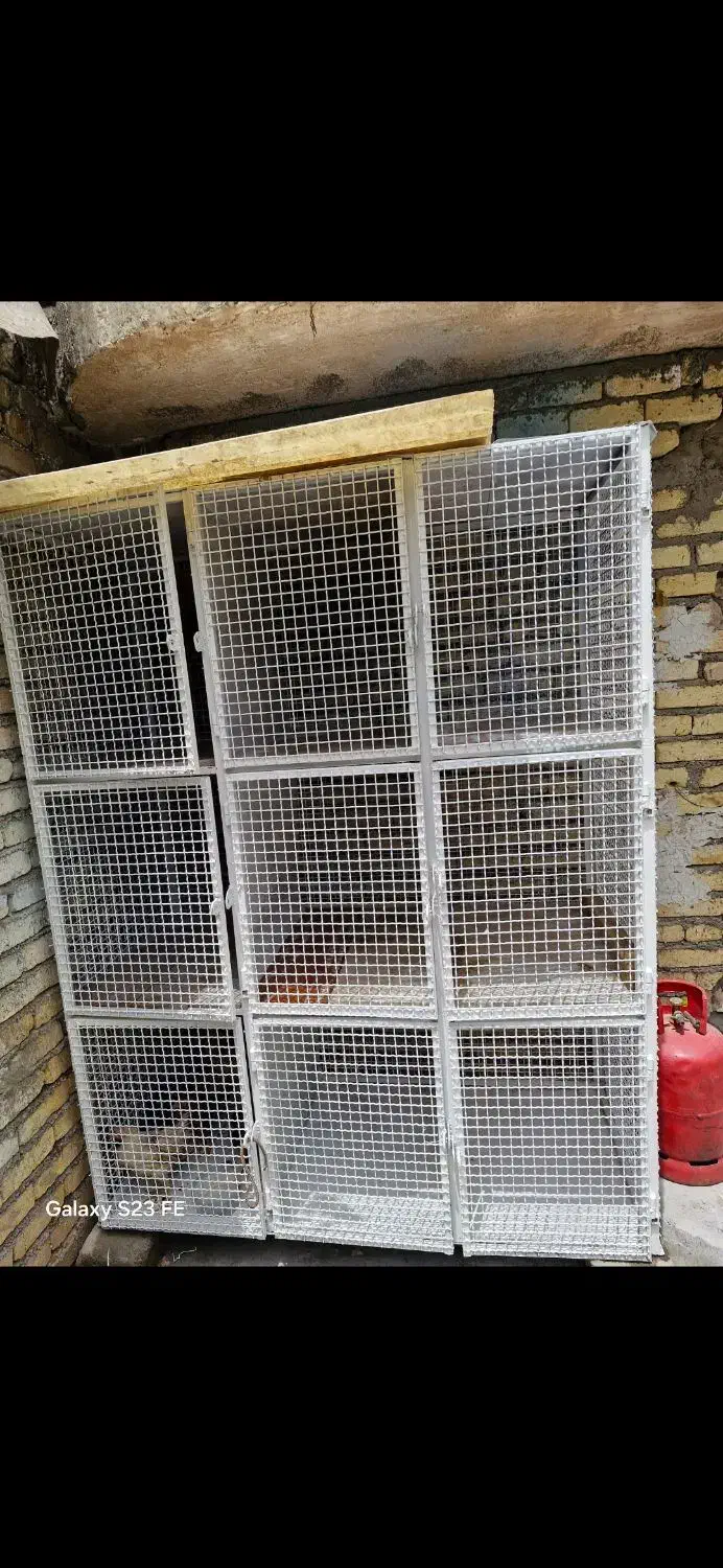 قفس جفت کن کبوتر ۹ تایی|لوازم جانبی حیوانات|فلاورجان, |دیوار