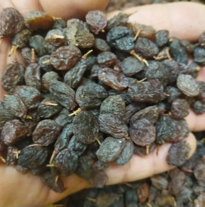 کشمش آفتابی|خوردنی و آشامیدنی|تهران, بهداشت|دیوار