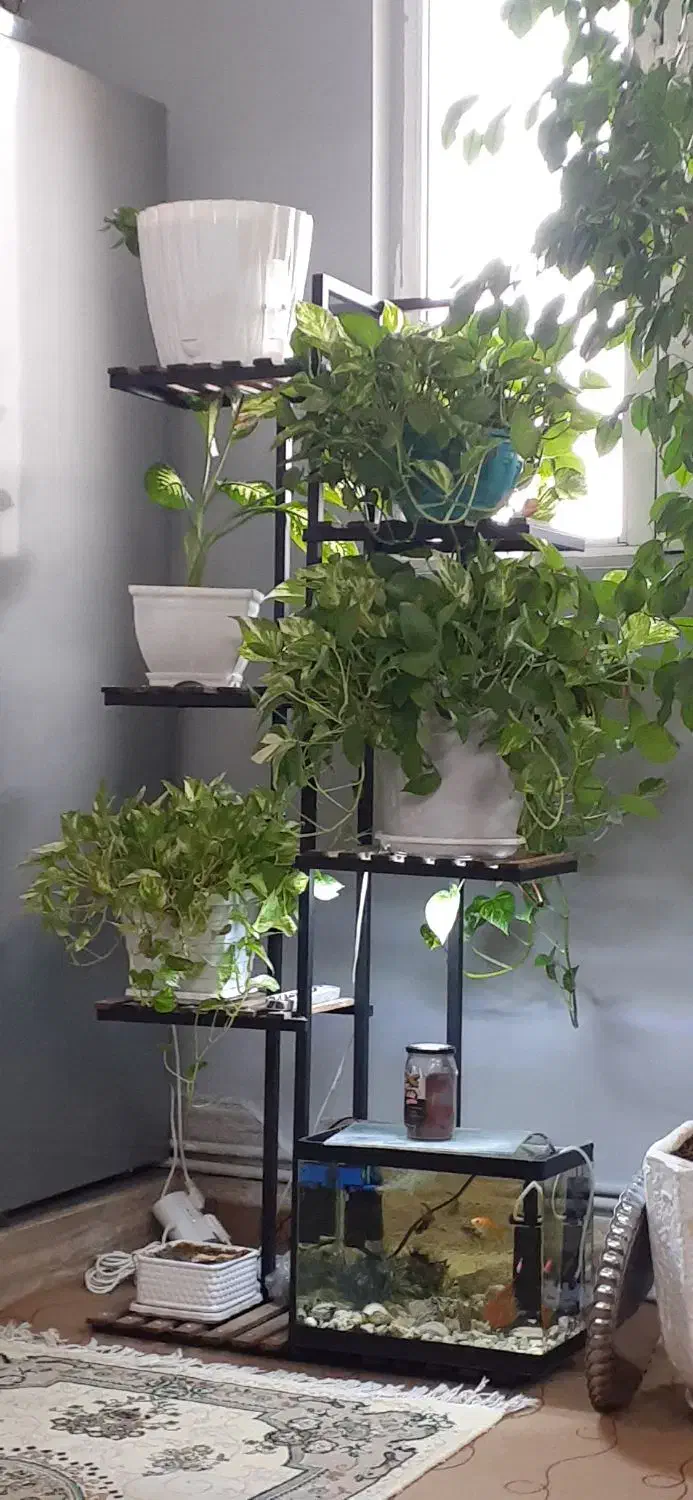 یک عدد استند  ۷ طبقه.  خوشگل|صنایع دستی و سایر لوازم تزئینی|میاندوآب, |دیوار