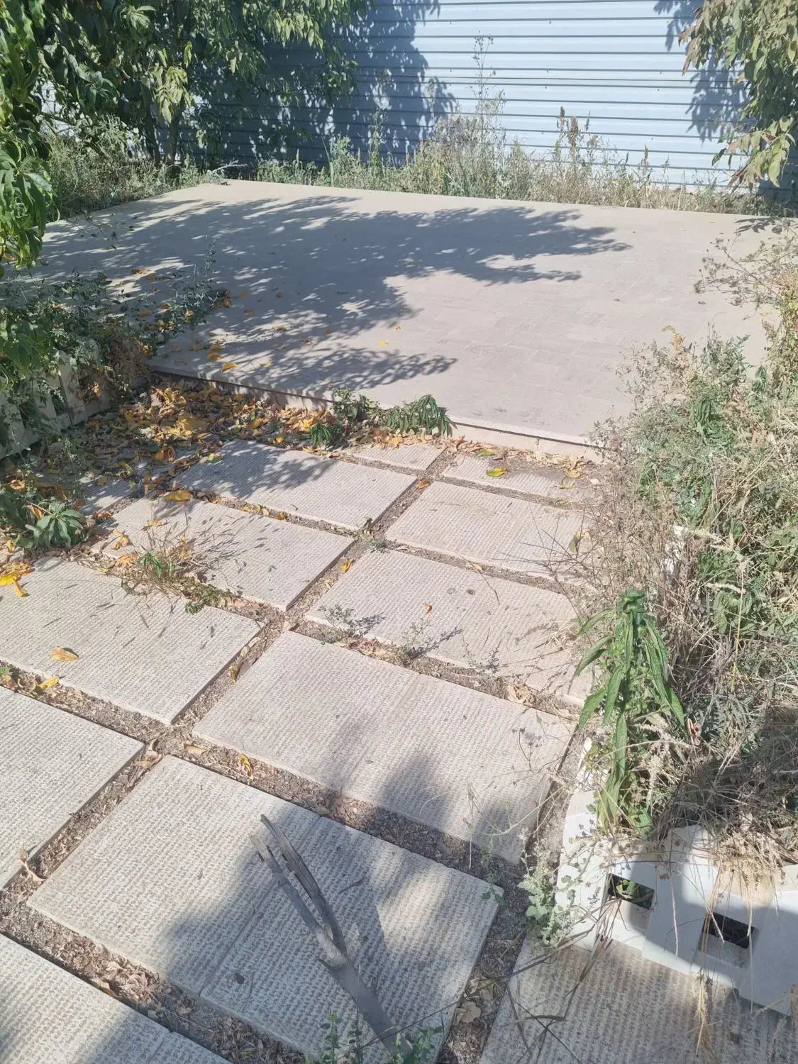 ملک و زمین|فروش زمین و ملک کلنگی|محمدشهر, محمدشهر|دیوار