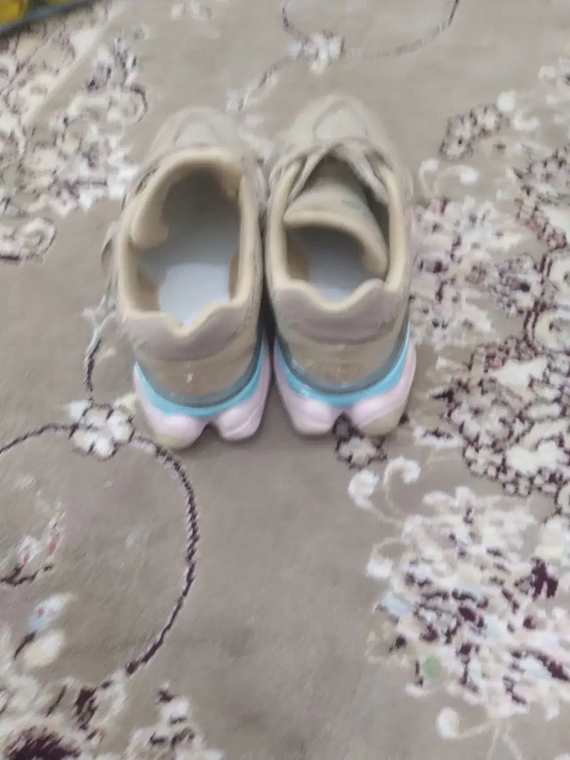 کتونی|کیف، کفش، کمربند|چالوس, |دیوار