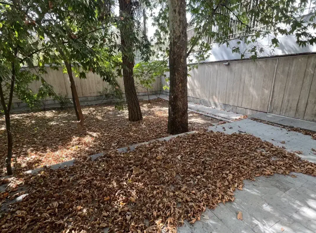 نیاوران/۶۰۰متر/ویلایی/کامرانیه شمالی/حیاط مشجر|اجارهٔ خانه و ویلا|تهران, کامرانیه|دیوار