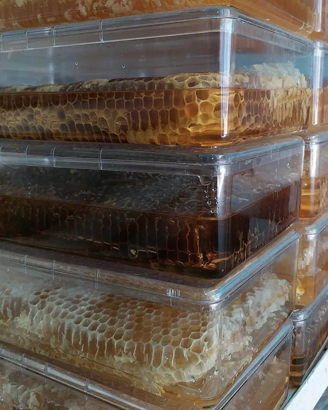 عسل کریستال سراب|خوردنی و آشامیدنی|تهران, مرزداران|دیوار