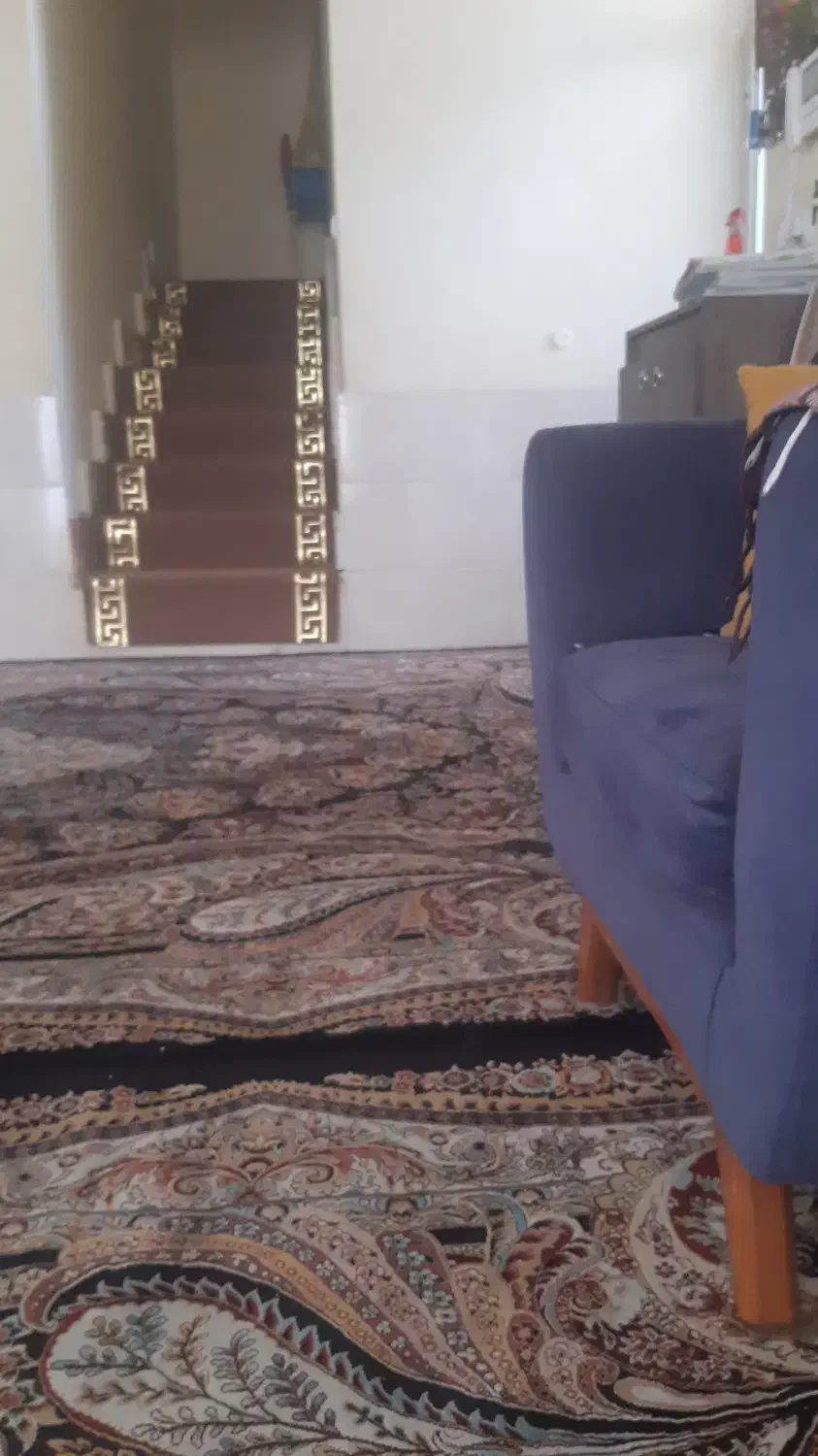 موکت|موکت|شیراز, تندگویان|دیوار