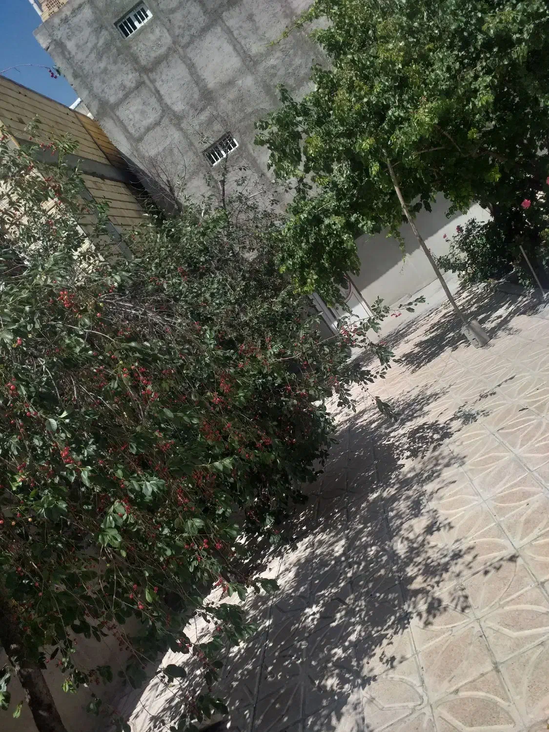 فروش خانه باغ دربهترین منطقه ازشهرستان هشترود|فروش خانه و ویلا|هشترود, |دیوار