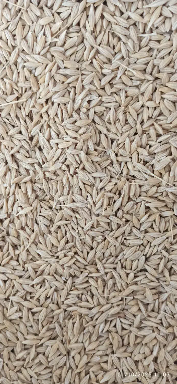 ج و|خوردنی و آشامیدنی|دهگلان, |دیوار
