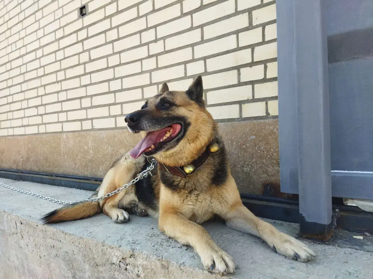 کمک و راهنمایی|فعالیت داوطلبانه|فولادشهر, مسکن مهر فولادشهر|دیوار