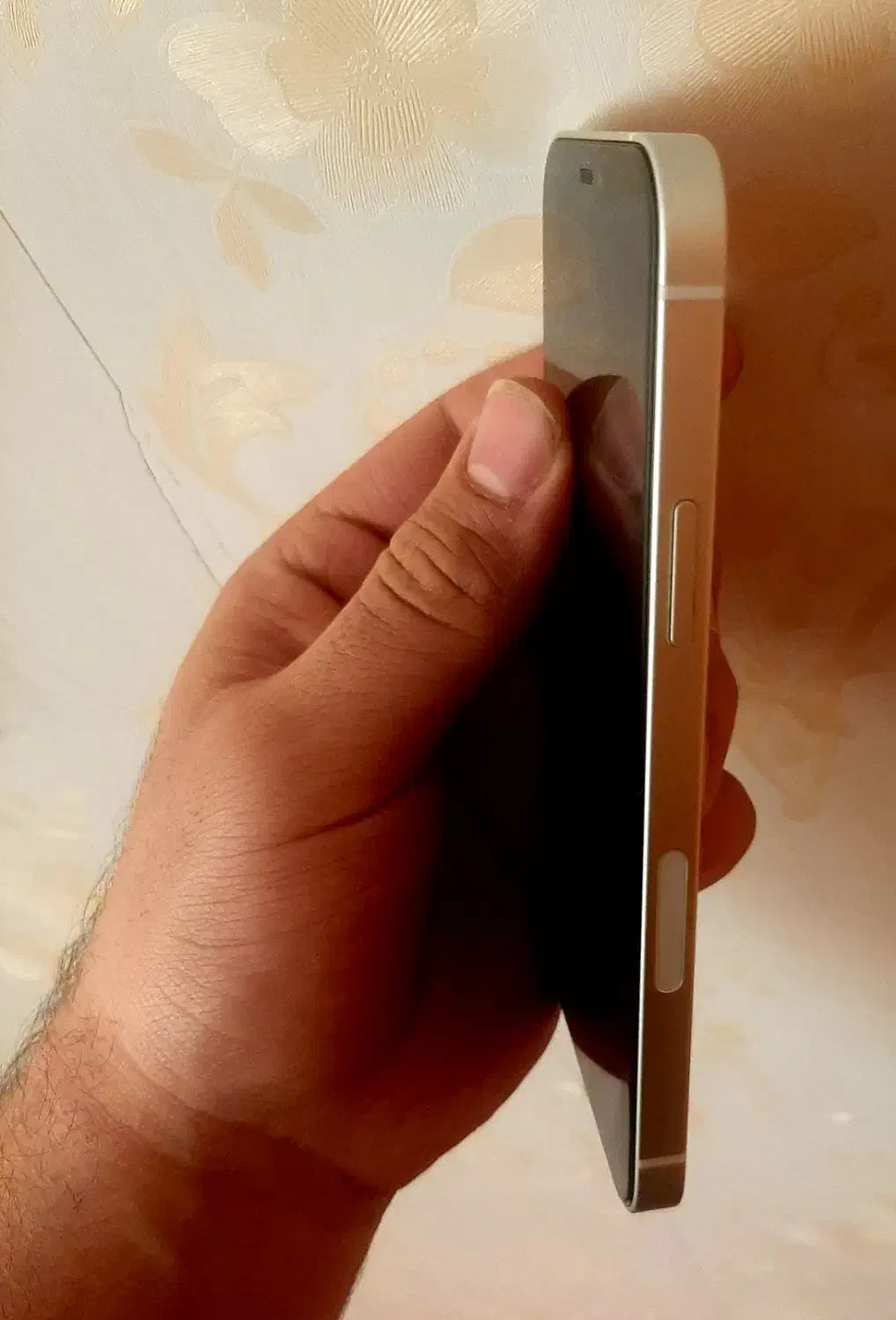 ایفون۱۲ نرمال ۲۵۶ گیگ|موبایل|تهران, سلسبیل شمالی|دیوار