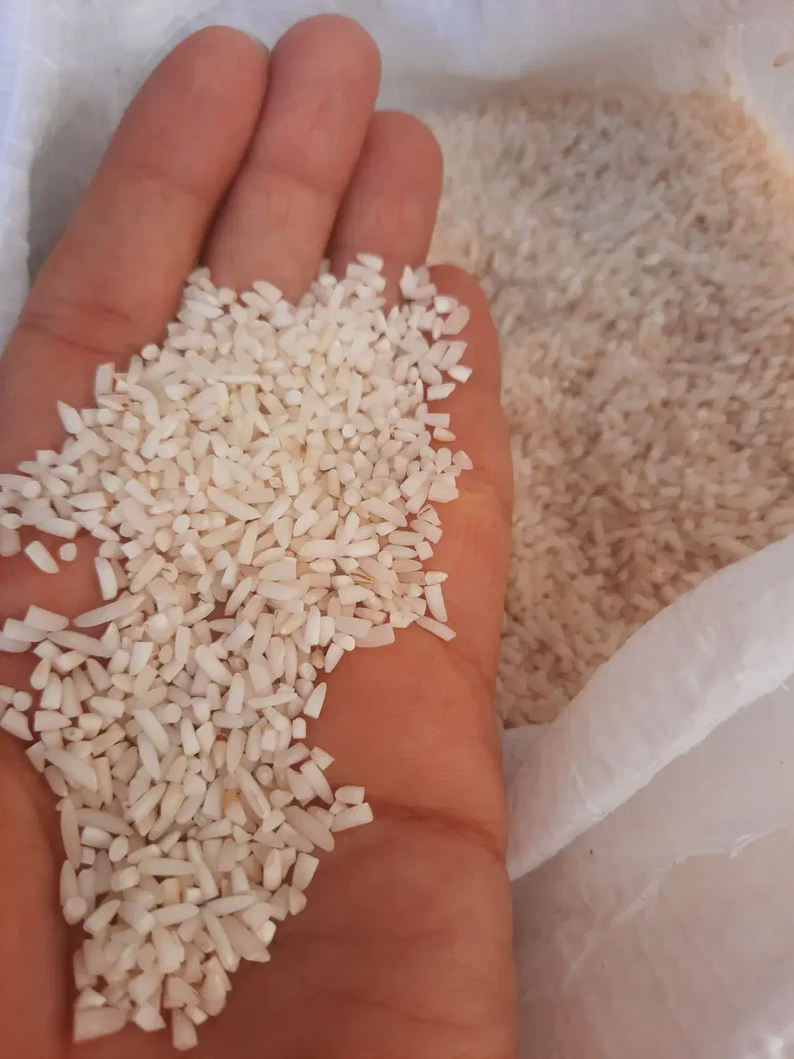 برنج هاشمی نیمدانه (دانه درشت) امسال باعطری بینظیر|خوردنی و آشامیدنی|ساوه, |دیوار