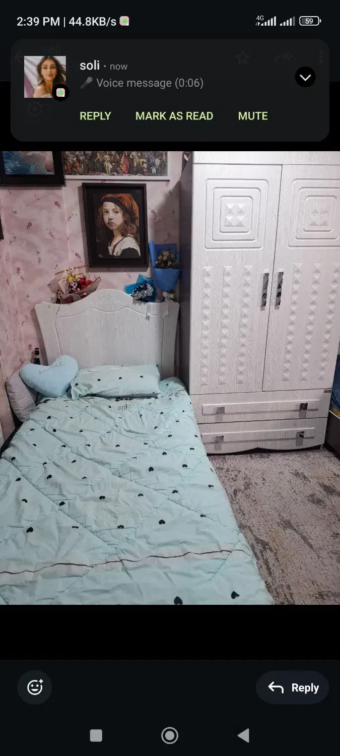 تخت و کمد نوجوان|تخت و سرویس خواب|شیراز, شهرک آرین|دیوار