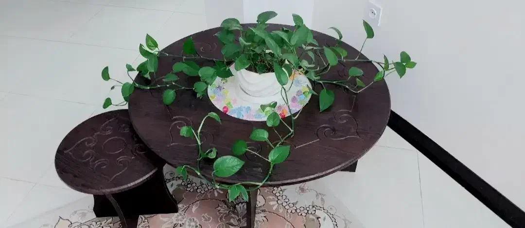 جلومبلیباچهارتامیزعسلی|مبلمان خانگی و میز عسلی|گلستان (تهران), |دیوار