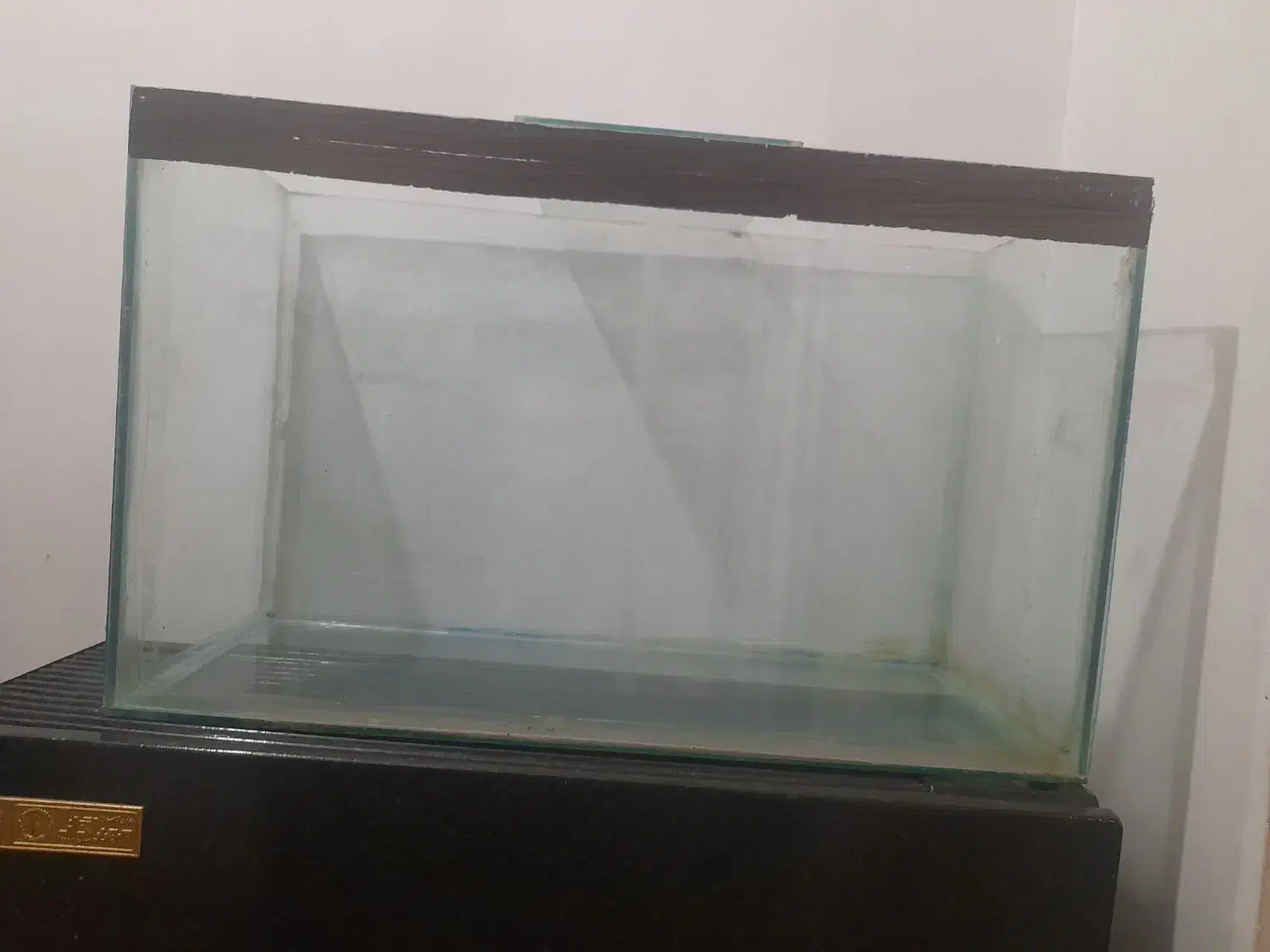 آکواریوم|ماهی|خوی, |دیوار