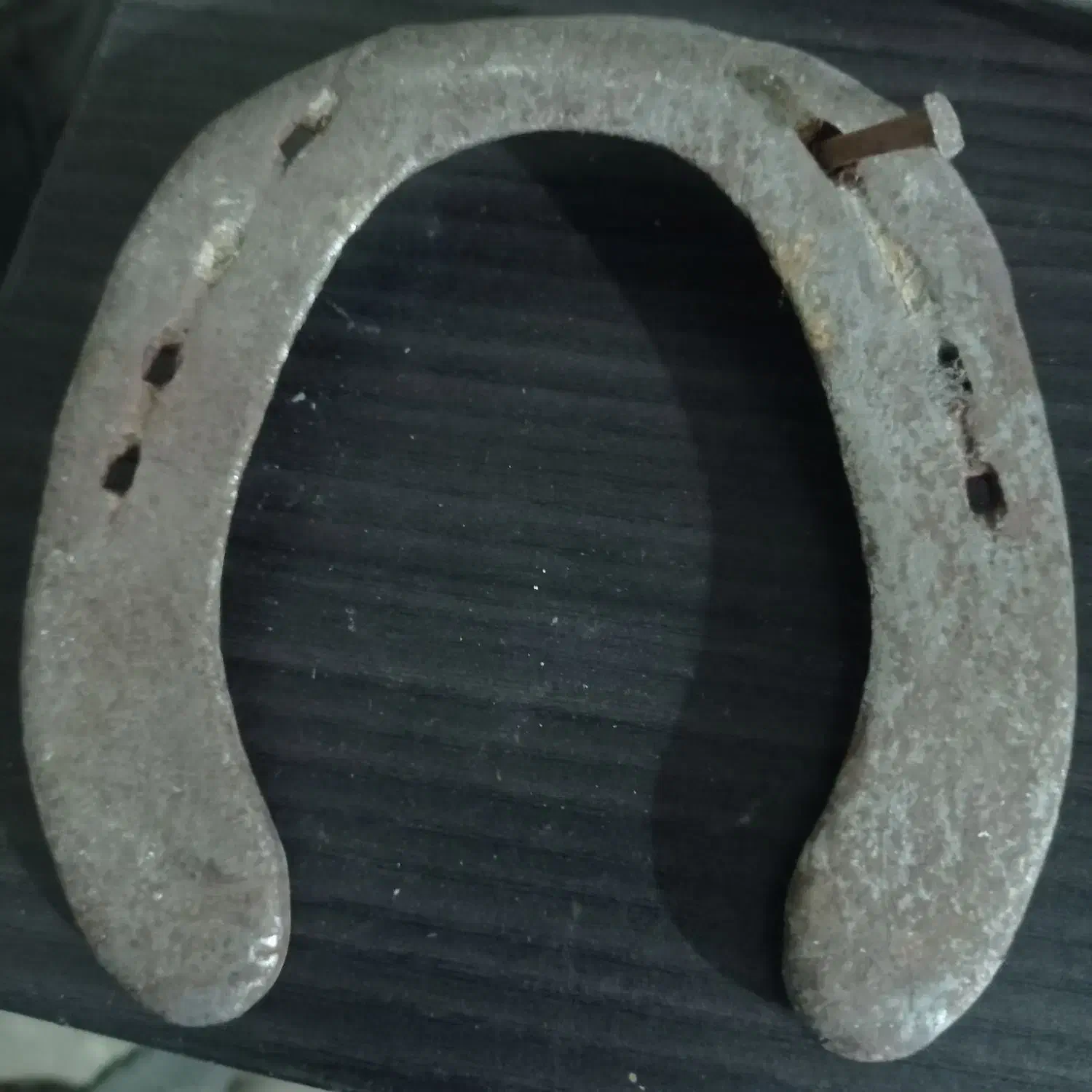 نعل اسب|کلکسیون اشیاء عتیقه|دورود, |دیوار