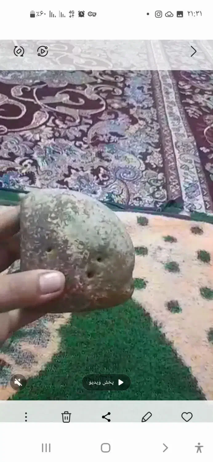 فسیل وسنگ|کلکسیون اشیاء عتیقه|گرگان, |دیوار