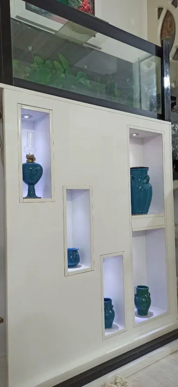 آکواریوم دکوری|ماهی|قم, بنیاد|دیوار