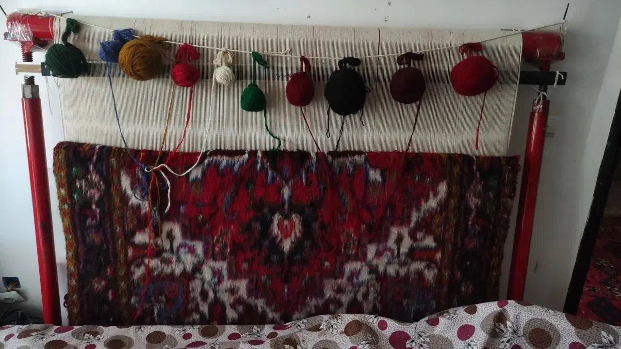 فرش نیمه کاره|فرش|اهر, |دیوار