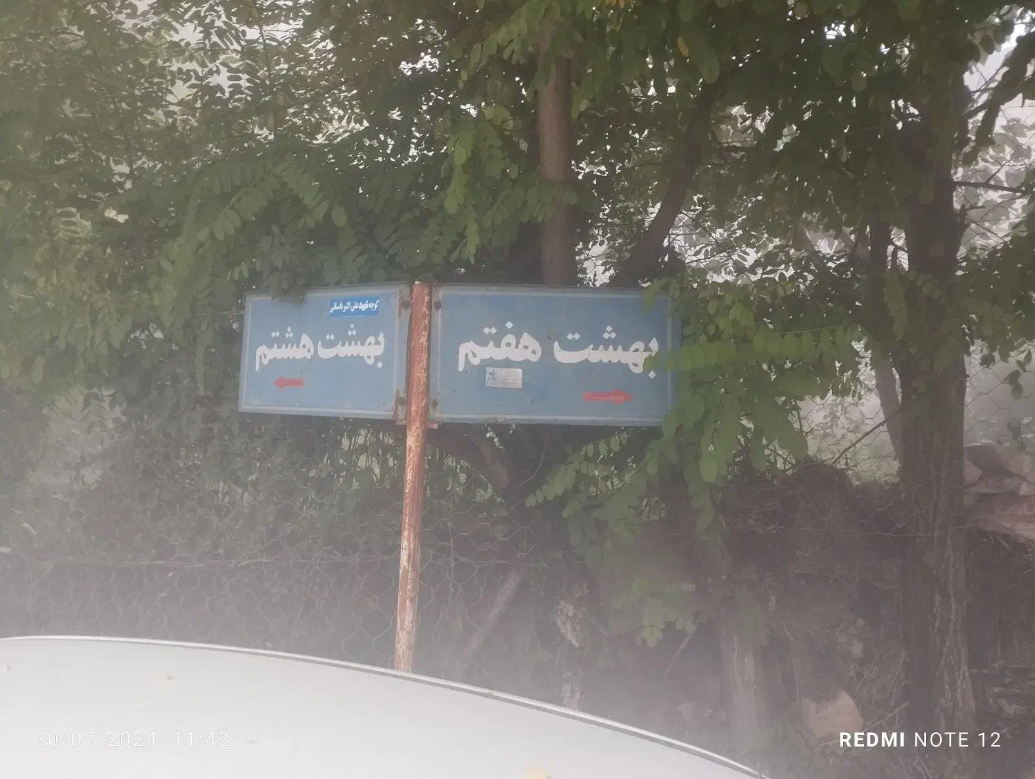 اجاره باران مصنوعی|خدمات باغبانی و درختکاری|فاضل آباد, |دیوار