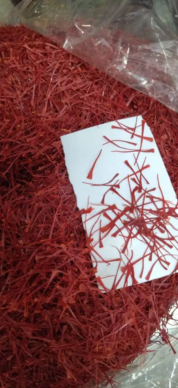 خشک کردن زعفران رویال|خوردنی و آشامیدنی|مشهد, ایثارگران|دیوار