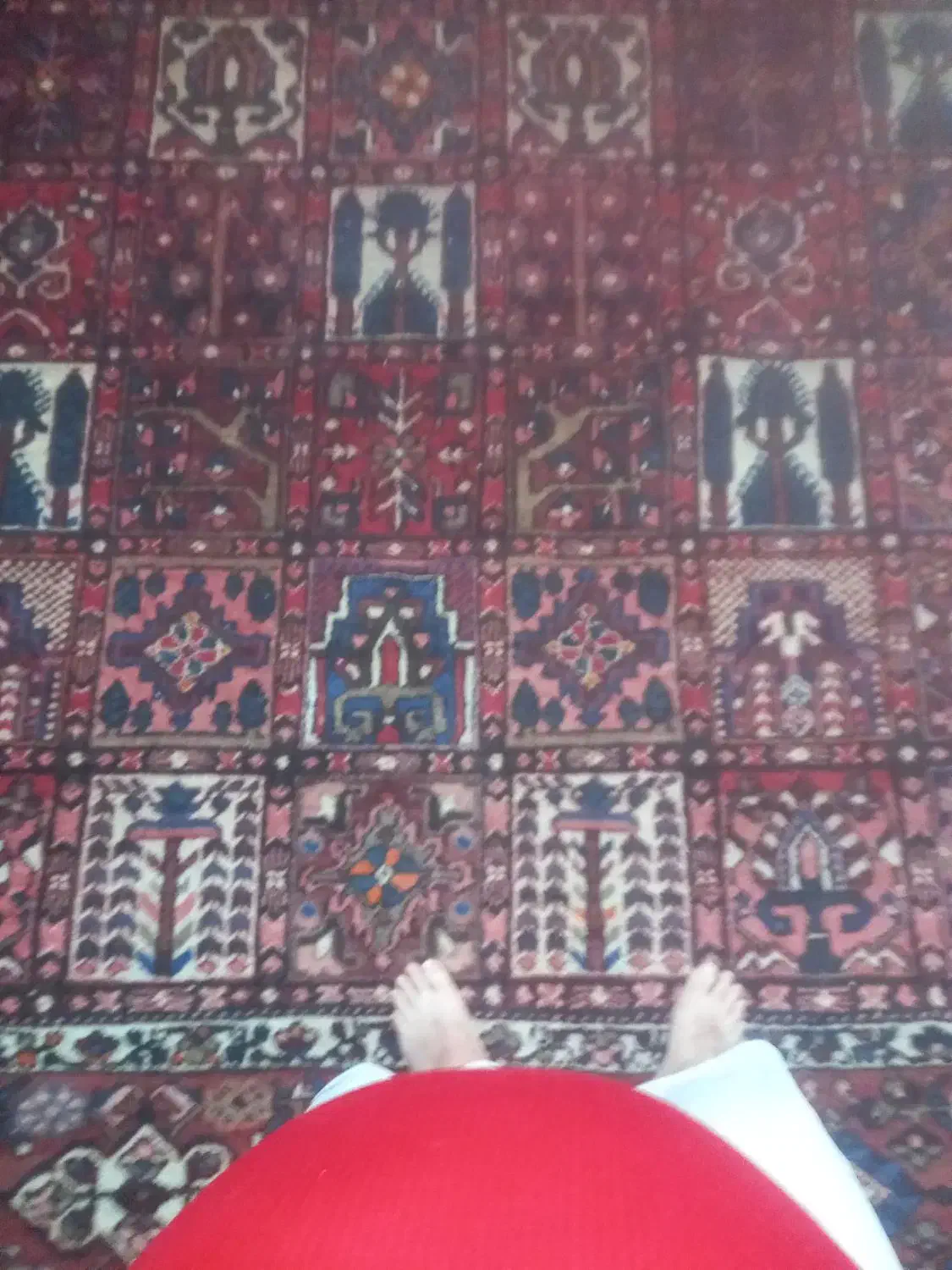 فرش دستباف|فرش|اصفهان, شاهزید|دیوار