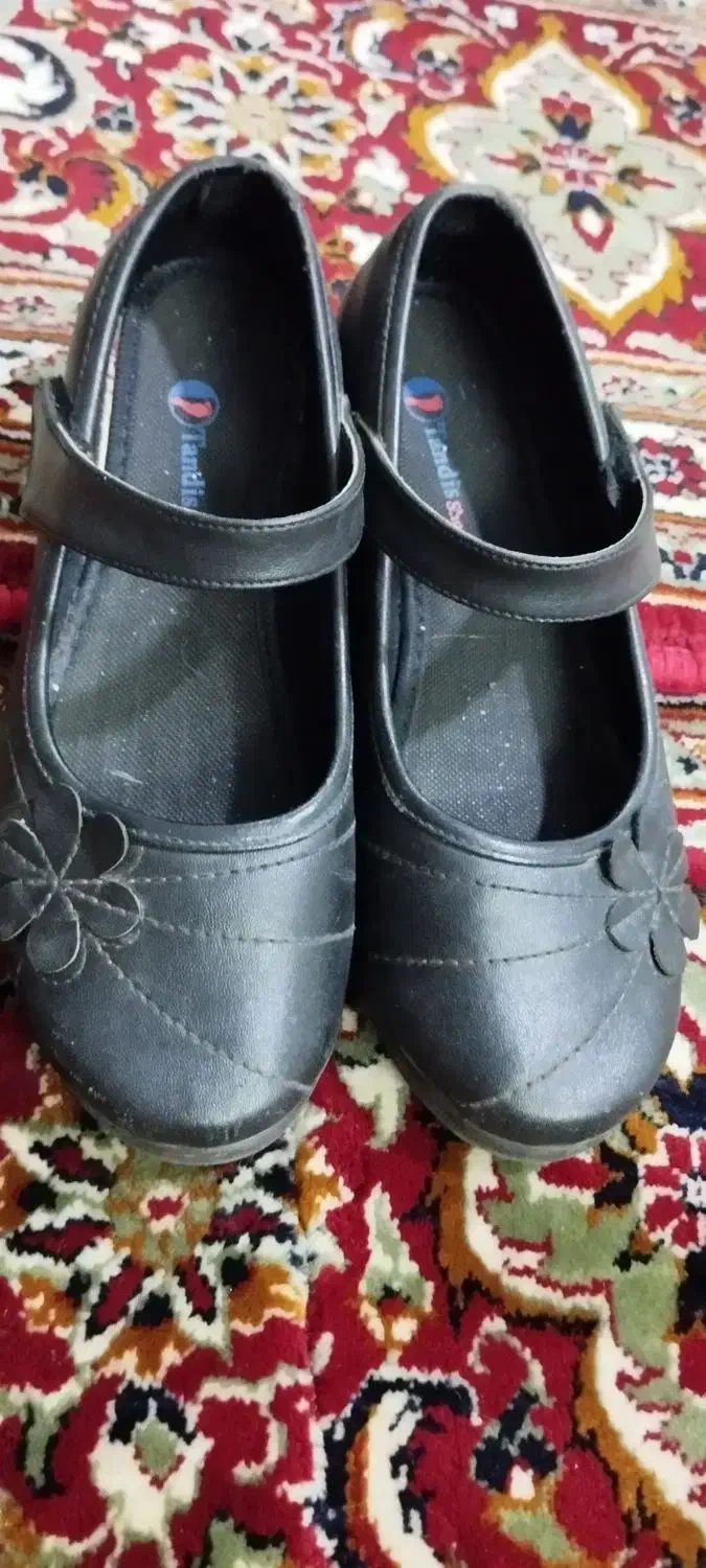 کفش زنانه|کیف، کفش، کمربند|نیشابور, هفده شهریور|دیوار