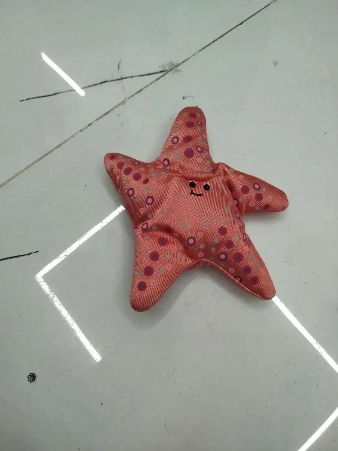 فروش وسایل|اسباب‌‌بازی|شیراز, انجیر|دیوار