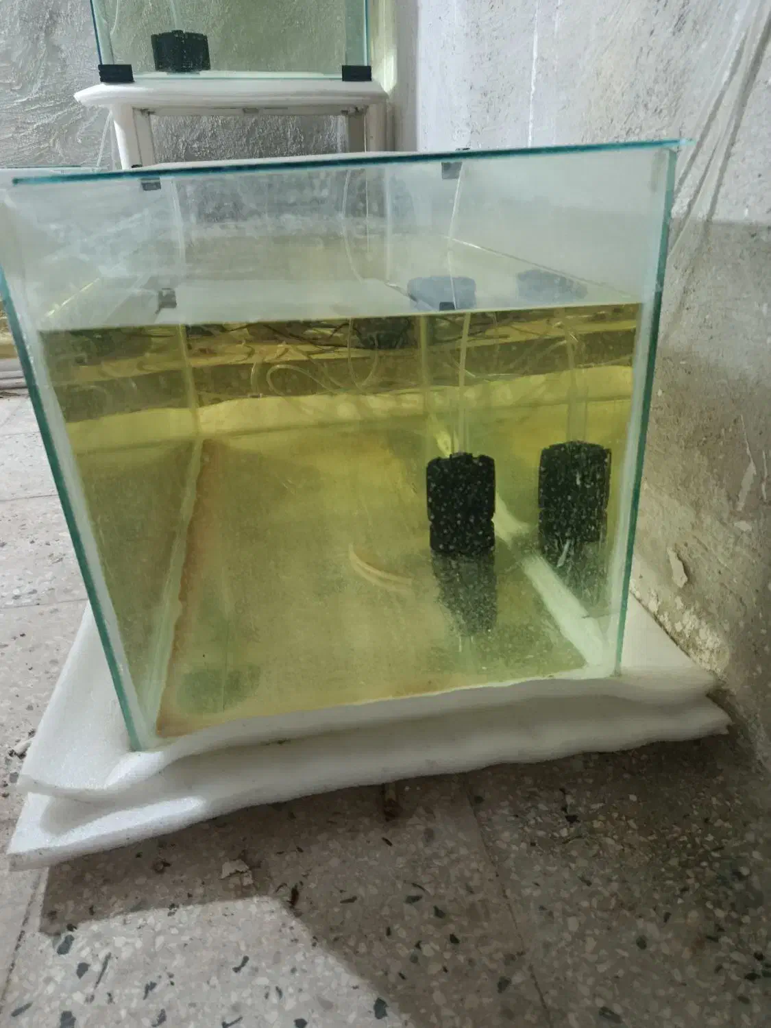 آکواریوم|ماهی|پاکدشت, خاتون آباد|دیوار