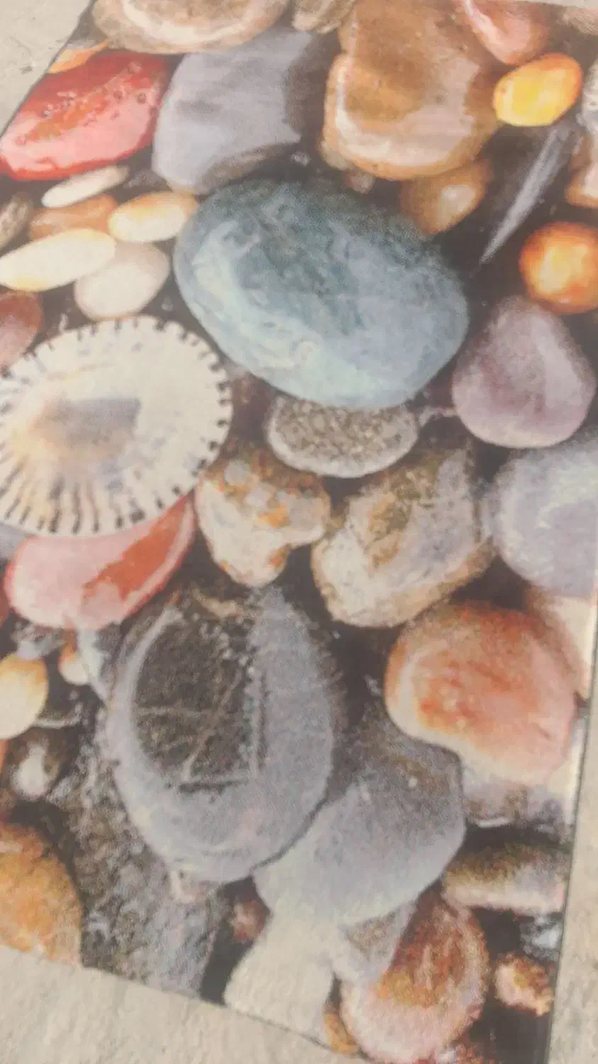 فرش فانتزی|فرش|ارومیه, |دیوار