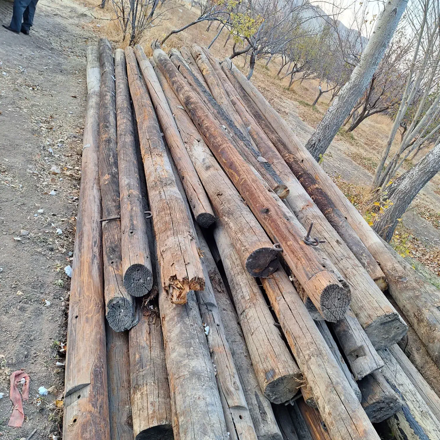 فروش تیرهای مخابراتی چوبی وآهنی|مصالح و تجهیزات ساختمان|زنجانرود, |دیوار