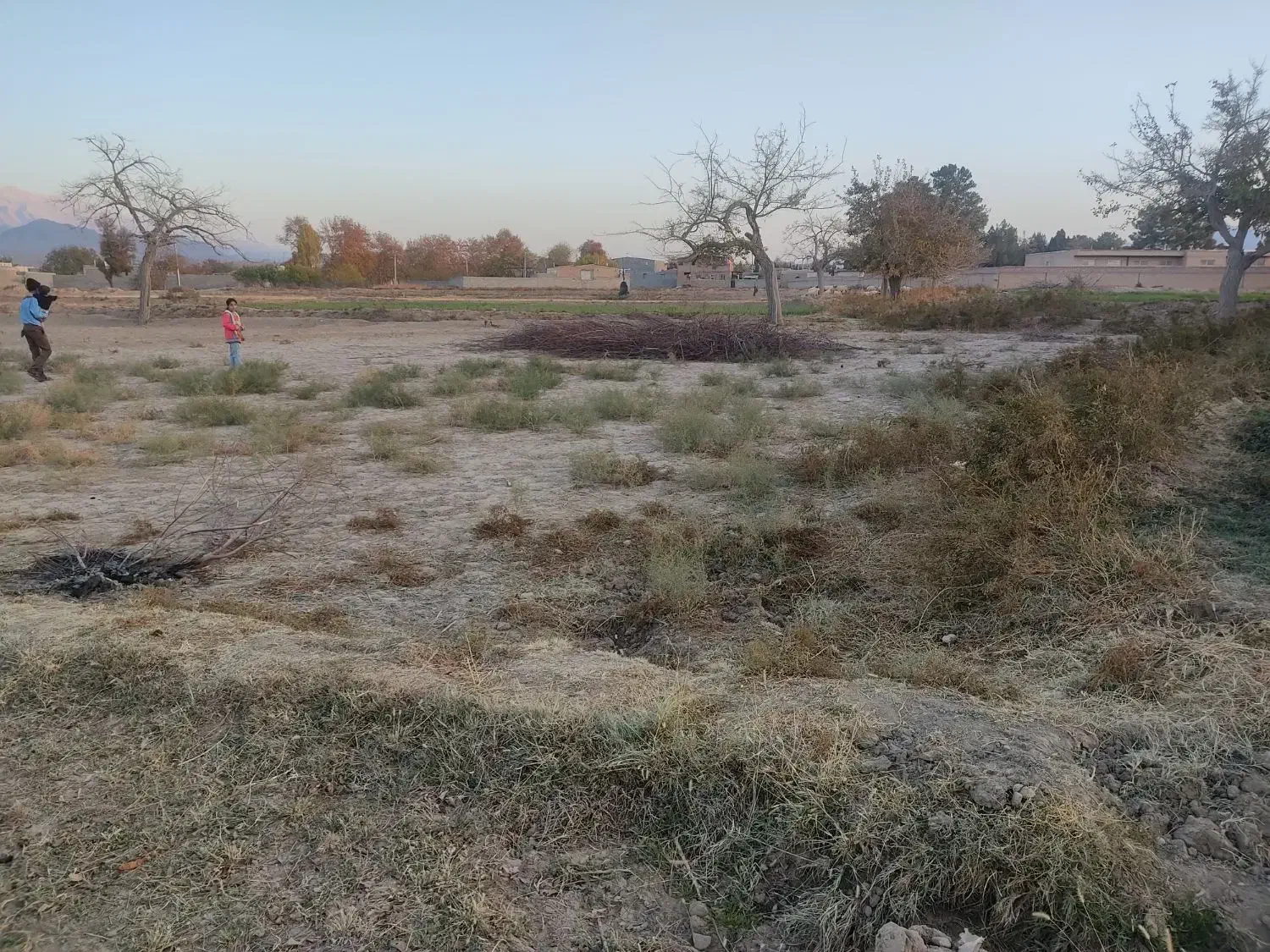 زمین مزروعی|فروش زمین و ملک کلنگی|ماهان, |دیوار