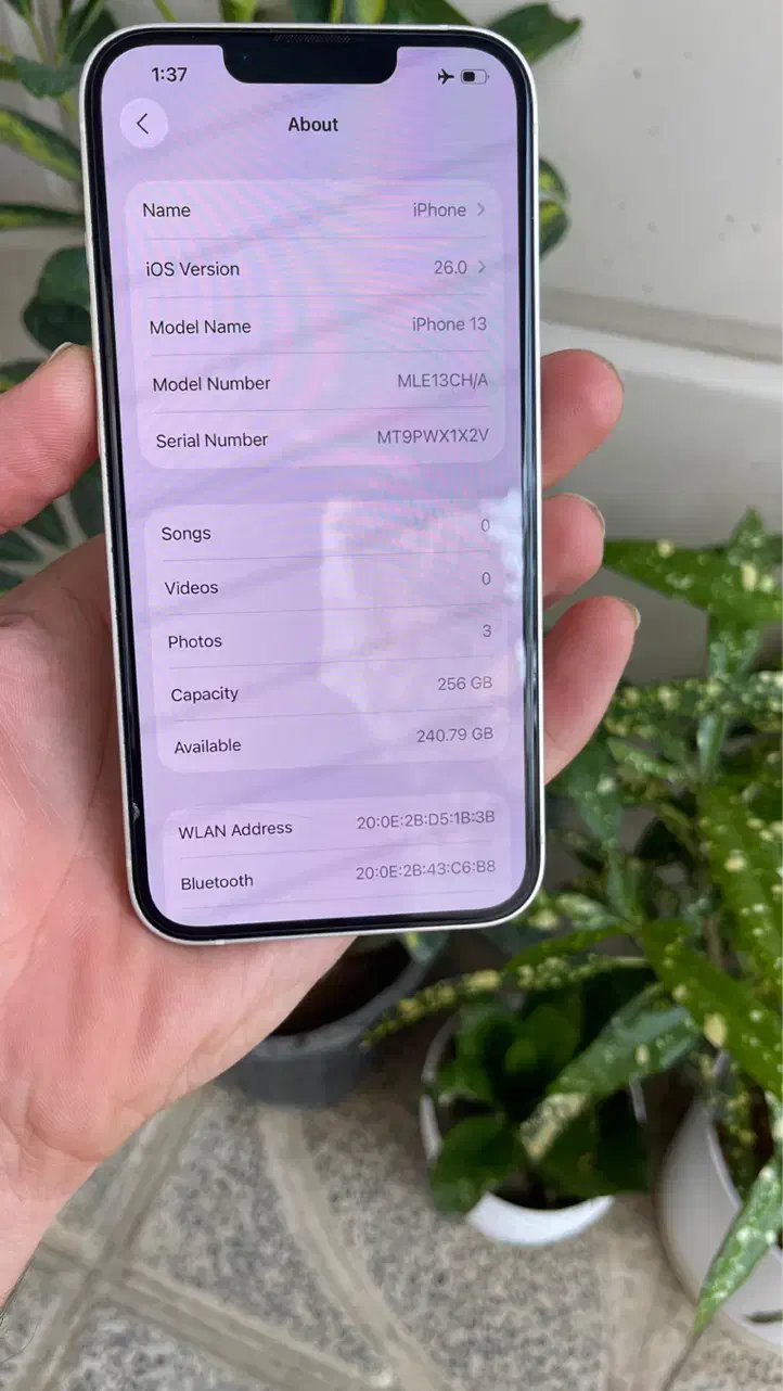 آیفون 13 نرمال حافظه ۲۵۶گیگ|موبایل|نیشابور, هفده شهریور|دیوار