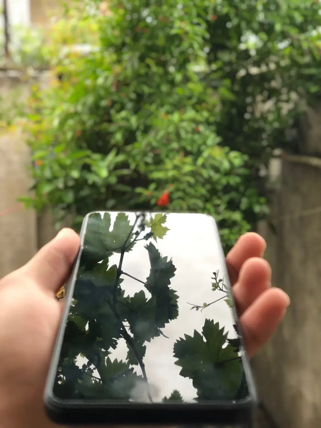 Redmond 14C 256/8|موبایل|کلاله, |دیوار