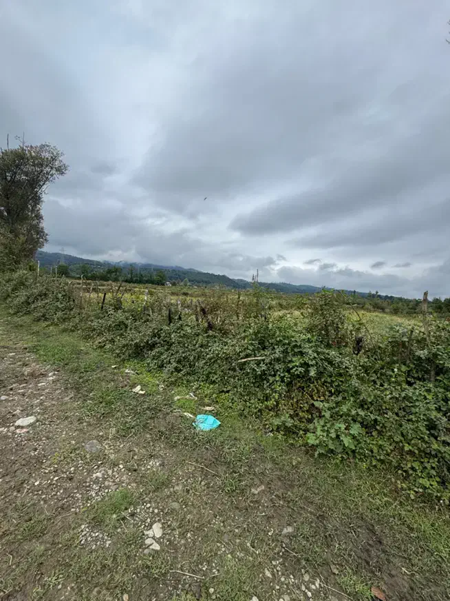 مزرعه سنتی ۳۳۶۰متری/راه سر مزرعه/اب دارد|فروش دفتر صنعتی، کشاورزی، تجاری|رضوانشهر, |دیوار