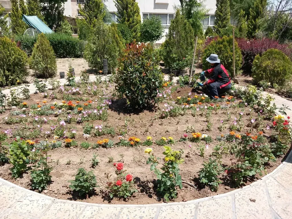 امور باغبانی|خدمات باغبانی و درختکاری|چهارباغ, |دیوار