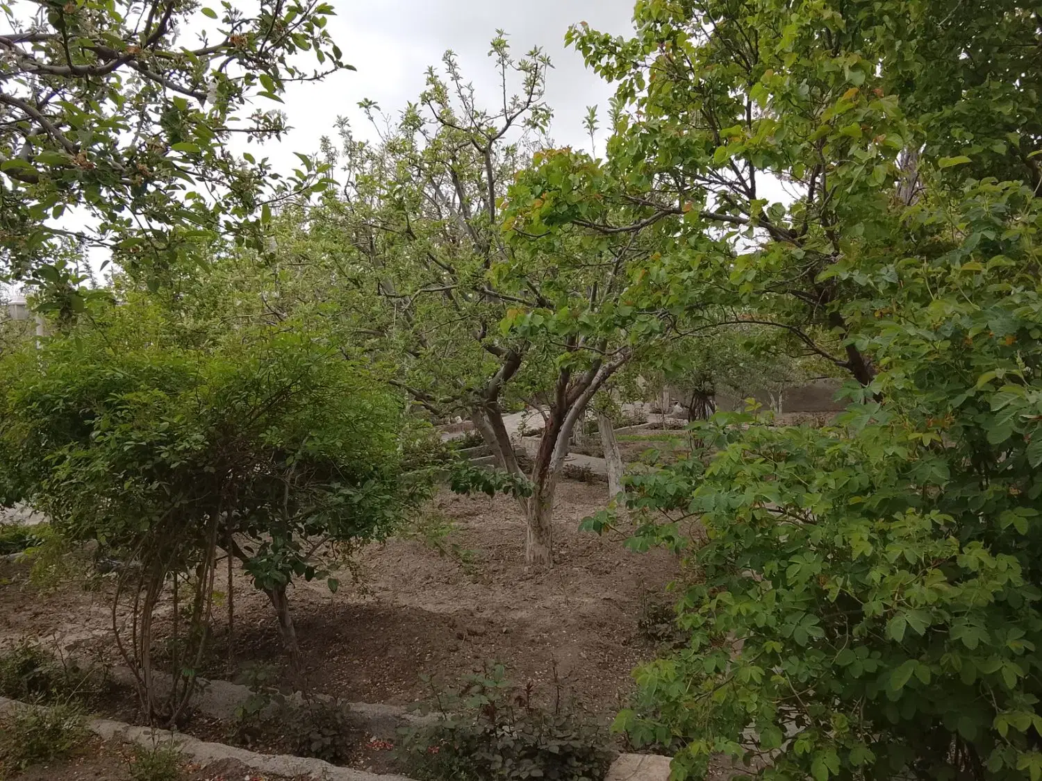 تصویر 9