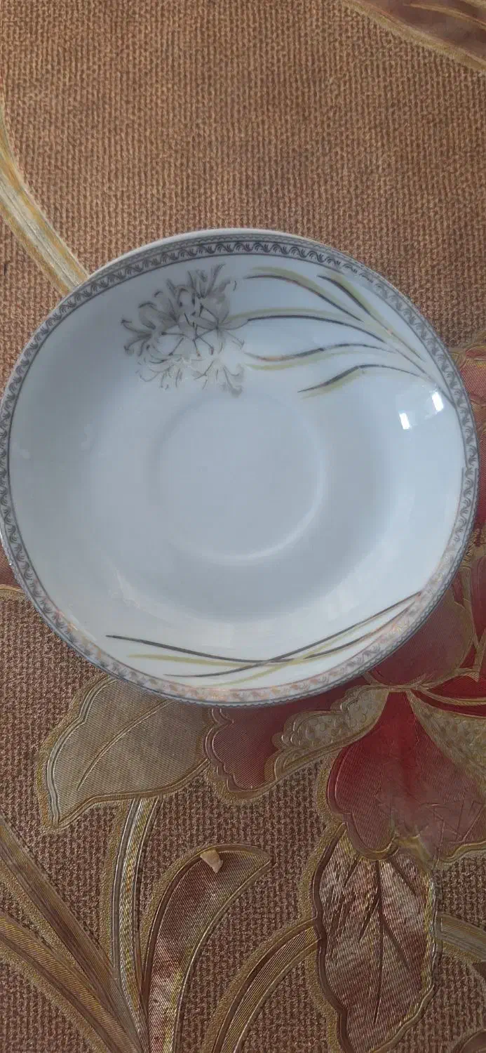 نعلبکی پردیس چینی|ظروف سرو و پذیرایی|لنگرود, |دیوار